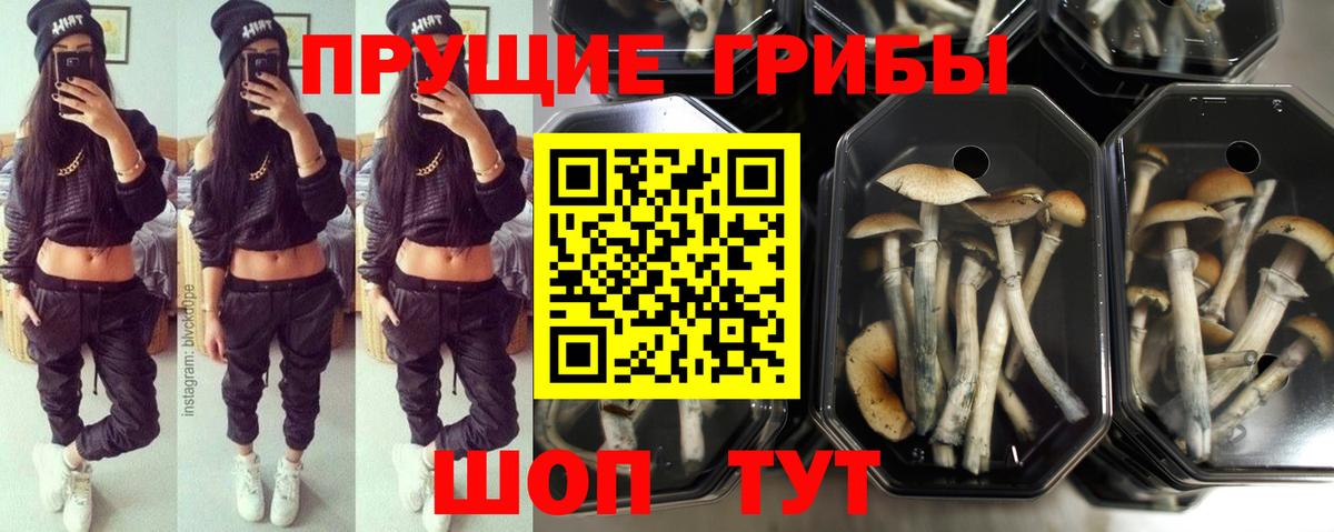 Набережные Челны  Псилоцибиновые грибы Psilocybe  Вход с VPN  купить наркоту  Псилоцибиновые грибы ЛСД 